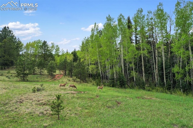 584 Sourdough Rd, Woodland Park, CO 80863