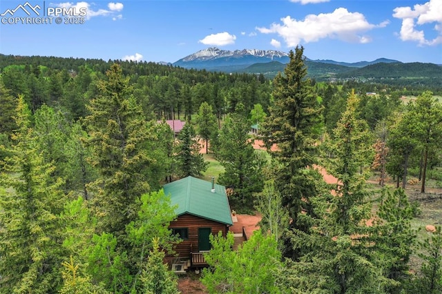 584 Sourdough Rd, Woodland Park, CO 80863