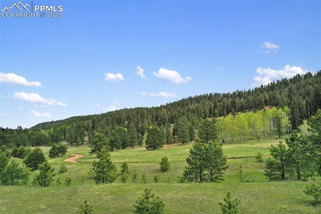 584 Sourdough Rd, Woodland Park, CO 80863