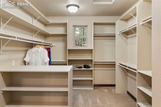 8395 Bar X Ter, Colorado Springs, CO 80908 - spacious closet with carpet