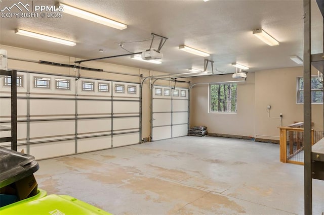 8395 Bar X Ter, Colorado Springs, CO 80908 - garage featuring a garage door opener