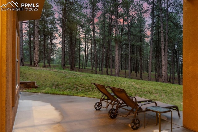 8395 Bar X Ter, Colorado Springs, CO 80908 - view of patio