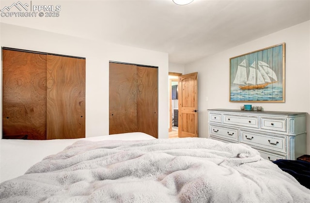 4580 Creek View Rd, Colorado Springs, CO 80908 - bedroom featuring two closets