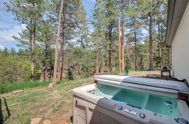 4580 Creek View Rd, Colorado Springs, CO 80908 - view of yard