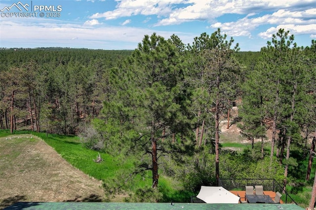 4580 Creek View Rd, Colorado Springs, CO 80908 - bird's eye view of a forest
