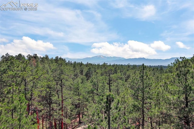 4580 Creek View Rd, Colorado Springs, CO 80908 - view of mountain background with a forest