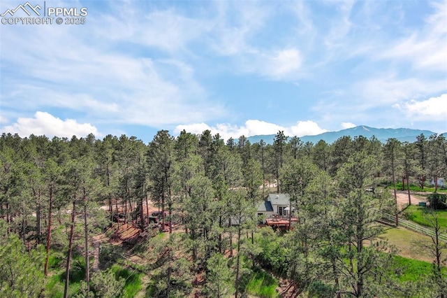 4580 Creek View Rd, Colorado Springs, CO 80908 - view of mountain background featuring a forest