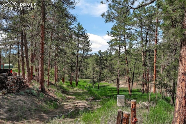 4580 Creek View Rd, Colorado Springs, CO 80908 - view of yard with a view of trees