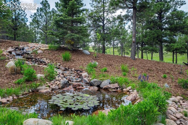 5085 Saxton Hollow Rd, Colorado Springs, CO 80908 - view of local wilderness