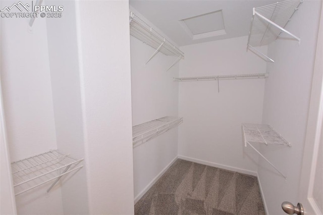 1160 Walters Pt, Monument, CO 80132 - spacious closet featuring carpet floors and attic access