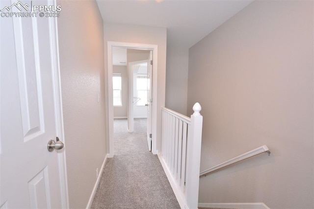 1160 Walters Pt, Monument, CO 80132 - corridor featuring an upstairs landing, carpet floors, and baseboards