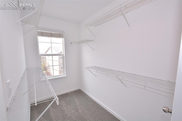 1160 Walters Pt, Monument, CO 80132 - spacious closet featuring carpet floors