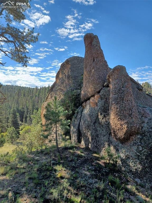 1505 Arapahoe Creek Trl, Florissant, CO 80816