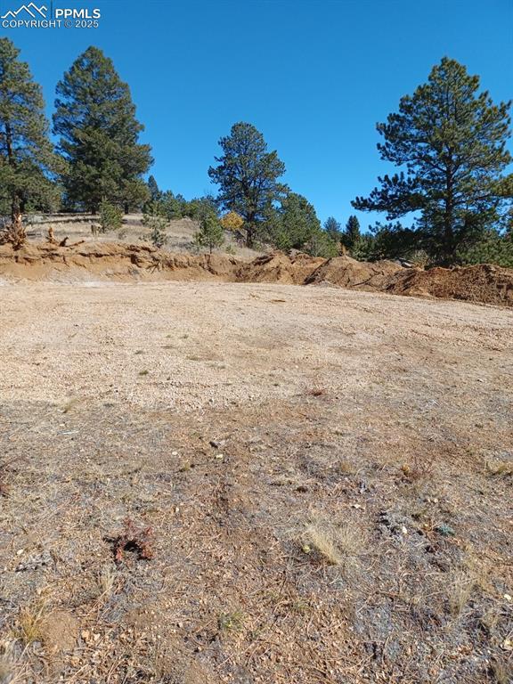 1505 Arapahoe Creek Trl, Florissant, CO 80816