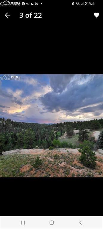 1505 Arapahoe Creek Trl, Florissant, CO 80816