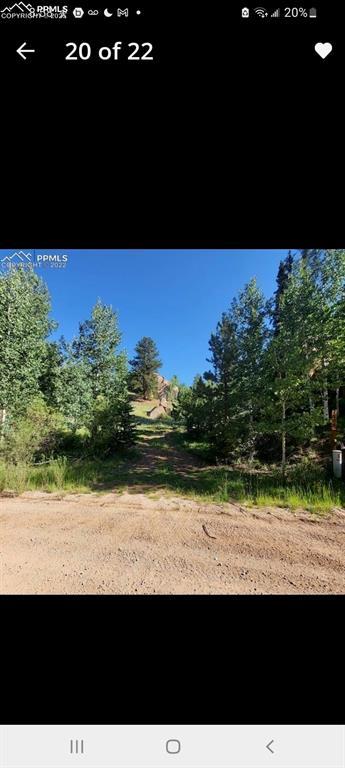 1505 Arapahoe Creek Trl, Florissant, CO 80816