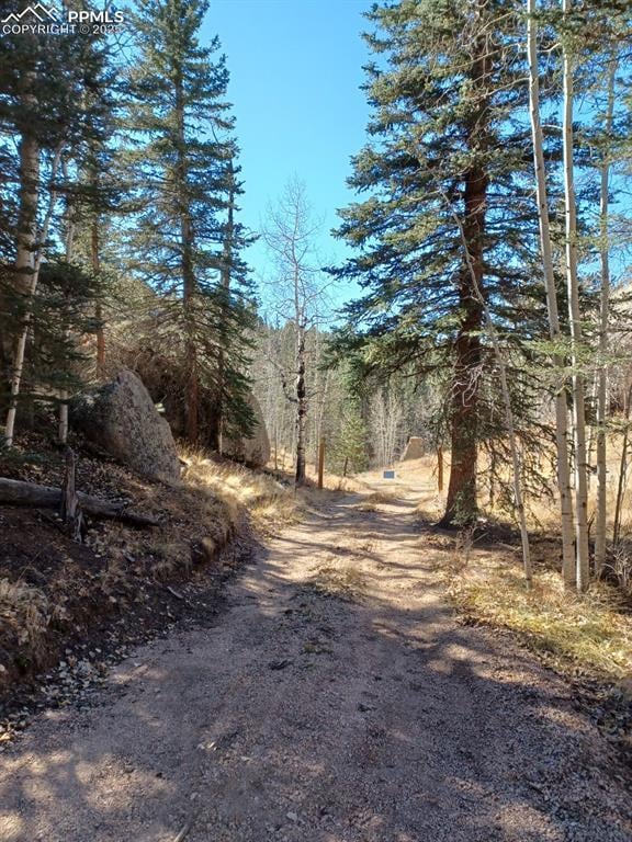 1505 Arapahoe Creek Trl, Florissant, CO 80816
