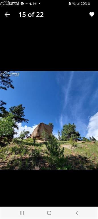 1505 Arapahoe Creek Trl, Florissant, CO 80816