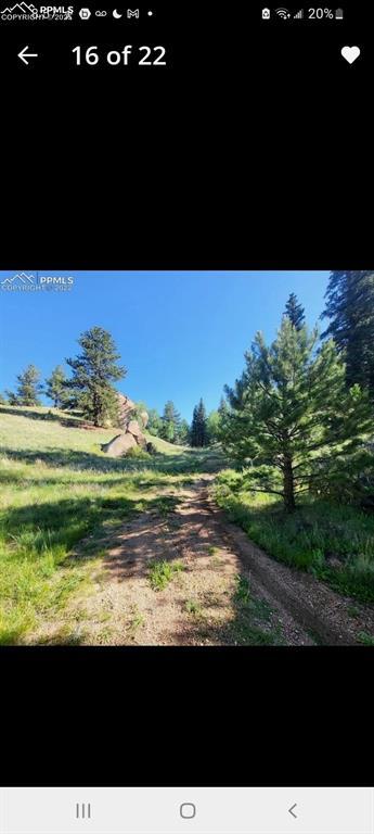 1505 Arapahoe Creek Trl, Florissant, CO 80816