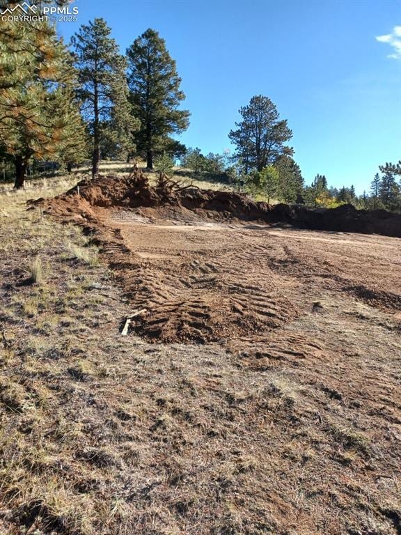 1505 Arapahoe Creek Trl, Florissant, CO 80816