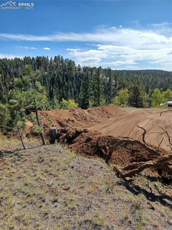 1505 Arapahoe Creek Trl, Florissant, CO 80816