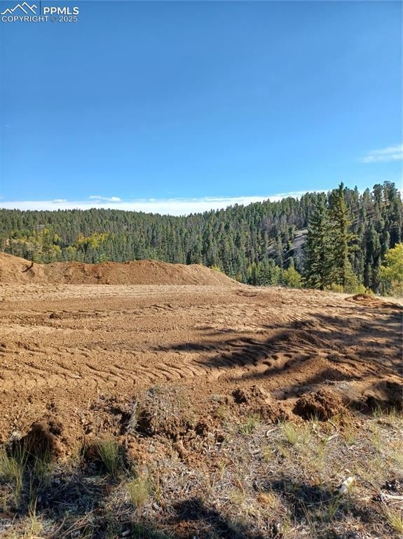 1505 Arapahoe Creek Trl, Florissant, CO 80816