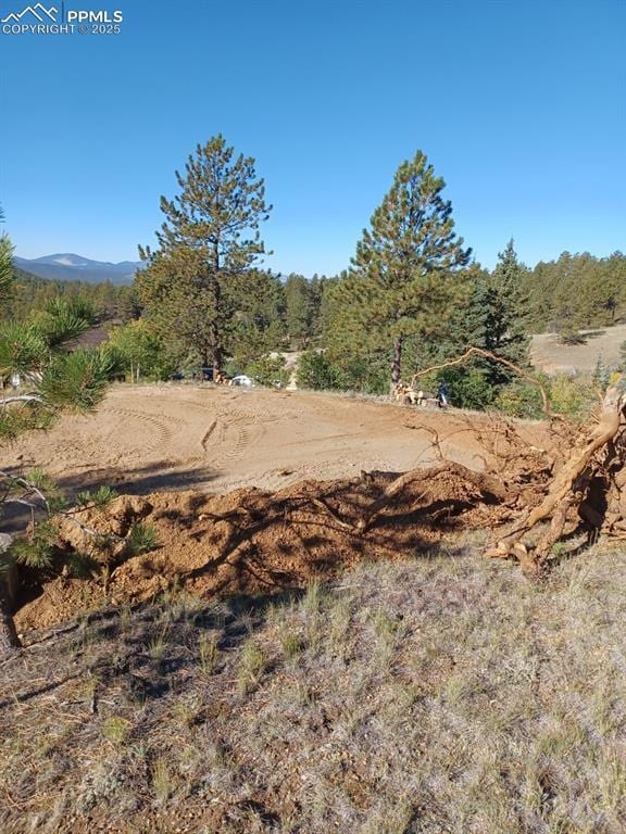 1505 Arapahoe Creek Trl, Florissant, CO 80816