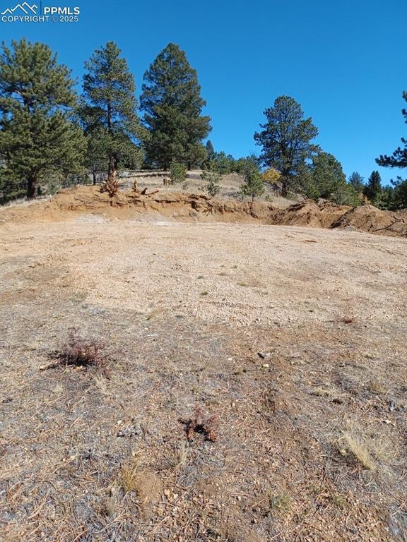 1505 Arapahoe Creek Trl, Florissant, CO 80816
