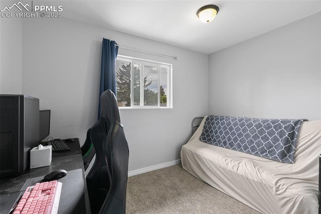 1513 Rosemont Dr, Colorado Springs, CO 80911 - home office with carpet flooring and baseboards