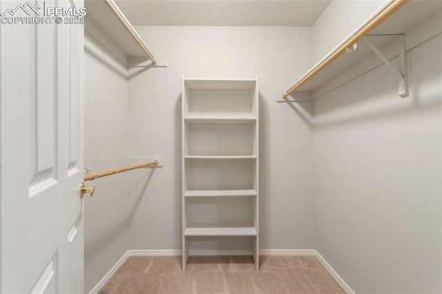 3730 Strawberry Field Grv Unit E, Colorado Springs, CO 80906 - spacious closet with carpet