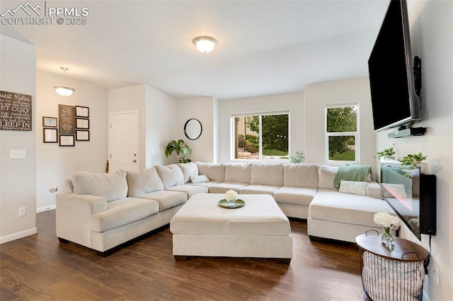 2001 Birmingham Loop, Colorado Springs, CO 80910 - living room with dark wood-type flooring and baseboards