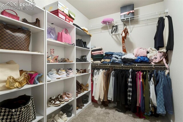 2001 Birmingham Loop, Colorado Springs, CO 80910 - walk in closet featuring carpet