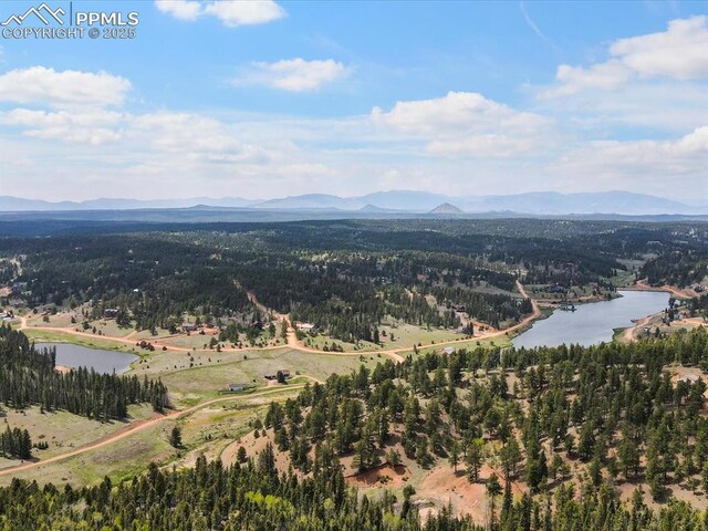 103 Alpine Rd, Woodland Park, CO 80863 - view of mountain background featuring a nearby body of water