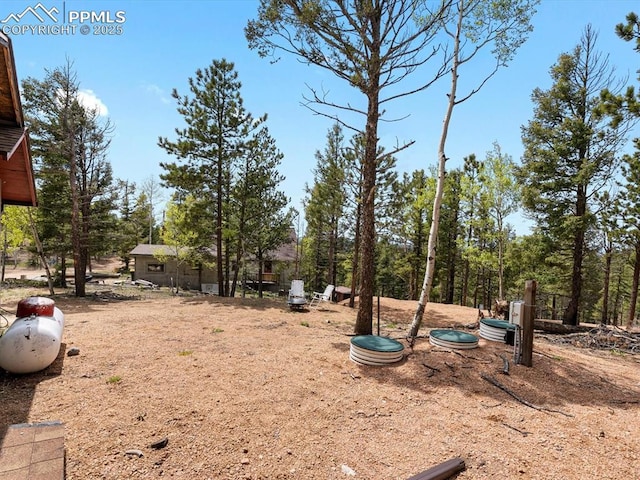 103 Alpine Rd, Woodland Park, CO 80863 - view of yard