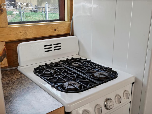 103 Alpine Rd, Woodland Park, CO 80863 - kitchen view of white gas range