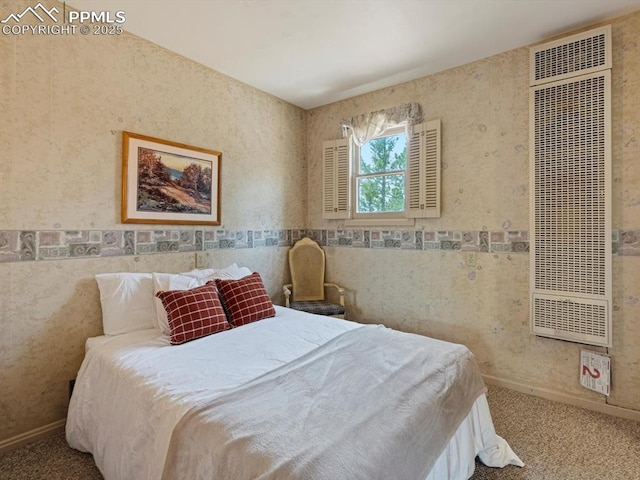 103 Alpine Rd, Woodland Park, CO 80863 - carpeted bedroom with a heating unit and tile walls