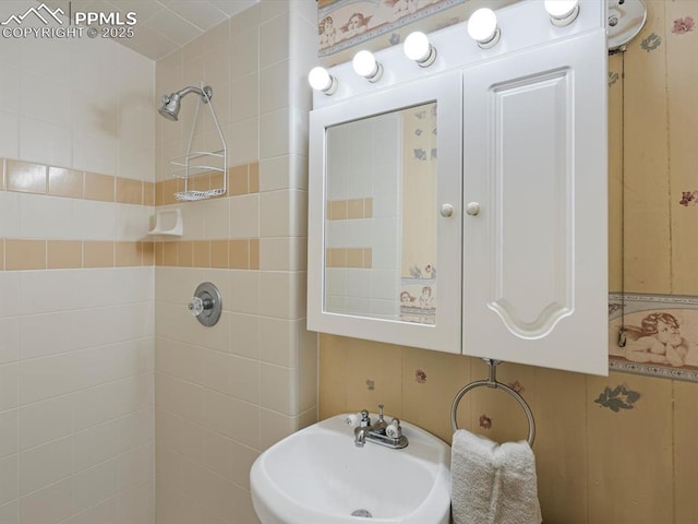 103 Alpine Rd, Woodland Park, CO 80863 - bathroom featuring tiled shower