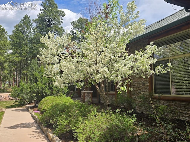 15975 Winding Trail Rd, Colorado Springs, CO 80908 - view of side of property with stone siding