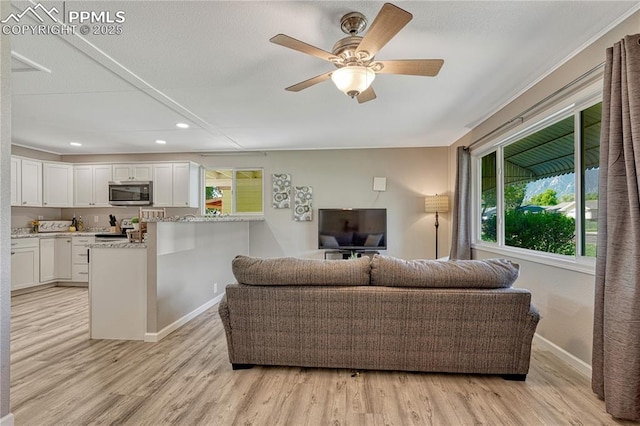 1917 S Institute Ave, Colorado Springs, CO 80905 - living area featuring light wood finished floors, recessed lighting, and ceiling fan
