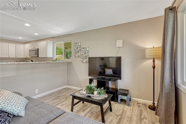 1917 S Institute Ave, Colorado Springs, CO 80905 - living room with light wood-type flooring and recessed lighting