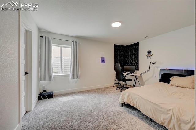 9276 Glitter Way, Colorado Springs, CO 80924 - carpeted bedroom with baseboards