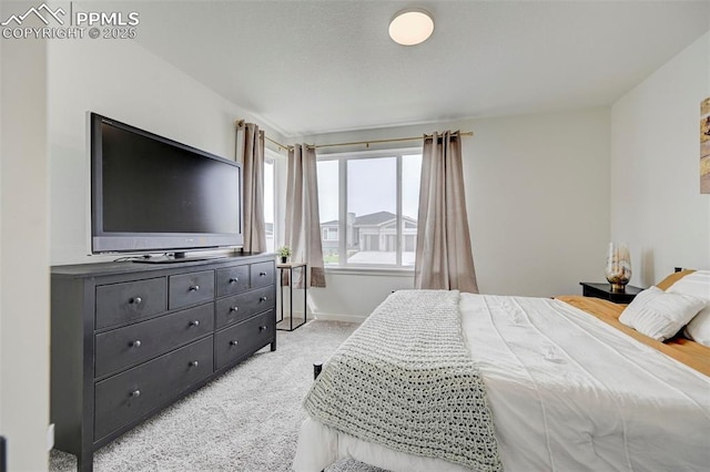 9276 Glitter Way, Colorado Springs, CO 80924 - bedroom with light colored carpet and baseboards