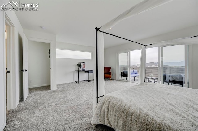 9276 Glitter Way, Colorado Springs, CO 80924 - carpeted bedroom with baseboards