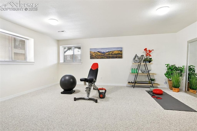 1646 Pinon Glen Cir, Colorado Springs, CO 80919 - workout area with baseboards, carpet flooring, and a textured ceiling