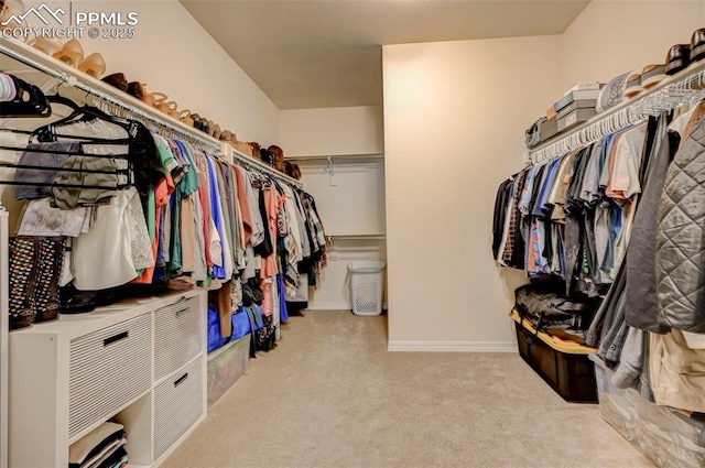 10806 Rolling Peaks Dr, Peyton, CO 80831 - spacious closet with carpet