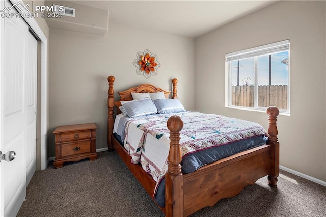 5228 Gannet Ln, Pueblo, CO 81008 - carpeted bedroom with a closet and baseboards