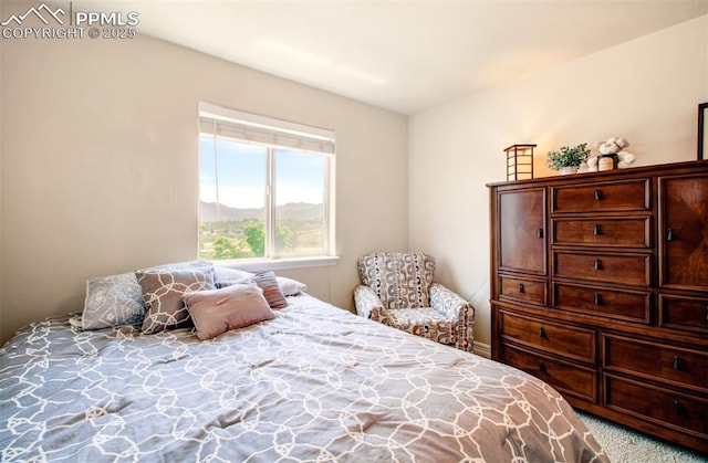 2582 Indian Hills Grv, Colorado Springs, CO 80907 - bedroom with carpet floors
