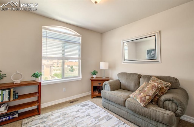 2582 Indian Hills Grv, Colorado Springs, CO 80907 - living area featuring baseboards and light colored carpet