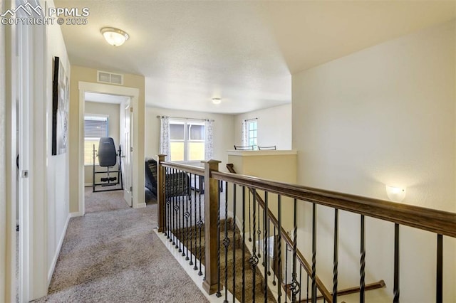 10208 Abrams Dr, Colorado Springs, CO 80925 - hallway featuring an upstairs landing and carpet