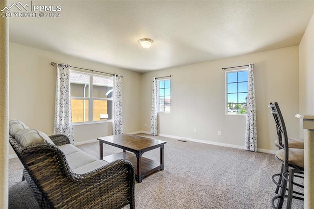 10208 Abrams Dr, Colorado Springs, CO 80925 - carpeted living room with plenty of natural light